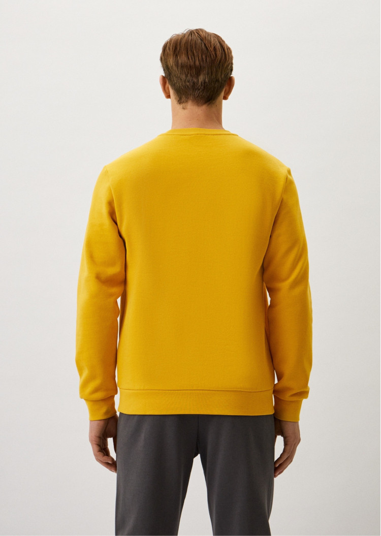 Свитшот Relaxed fit для мужчин (474075), цвет Желтый - №4