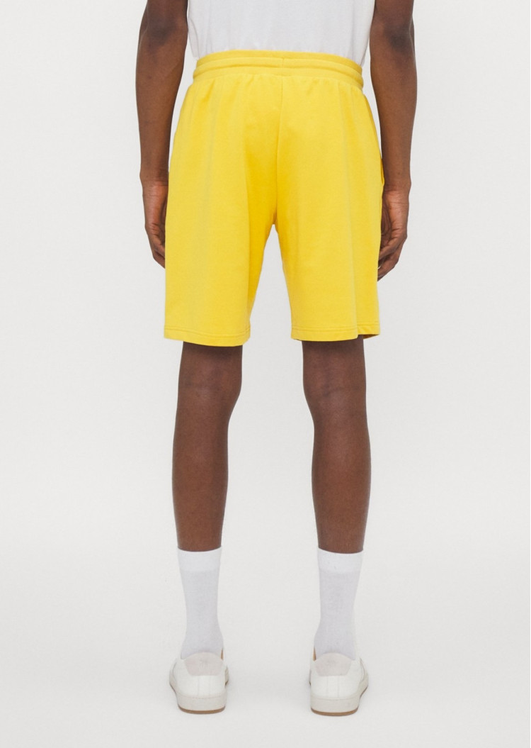 Шорти Regular fit для чоловіків (475431), колір Жовтий - №3