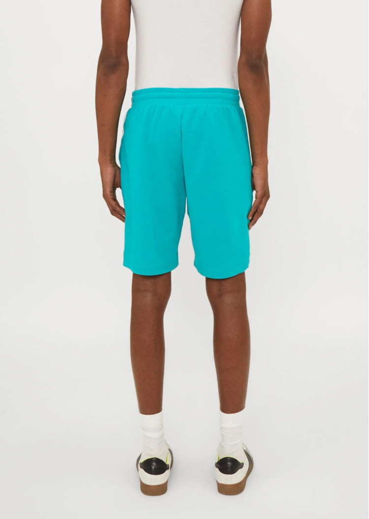 Шорти Regular fit для чоловіків (475503), колір Синій - №3