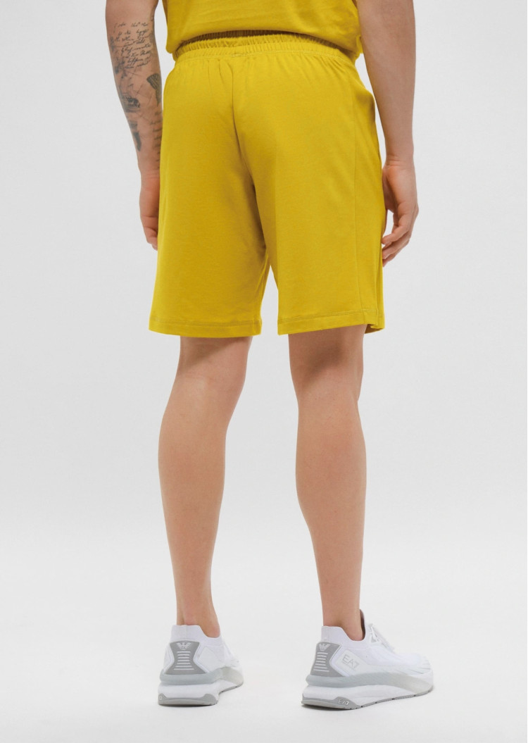 Шорти Regular Fit для чоловіків (478650), колір Жовтий - №4