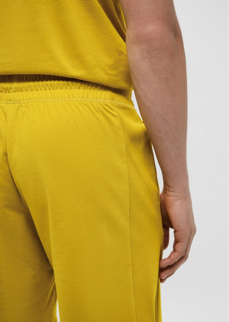 Шорти Regular Fit для чоловіків (478650), колір Жовтий - №6