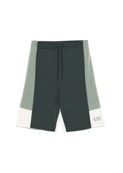 Шорты Regular Fit