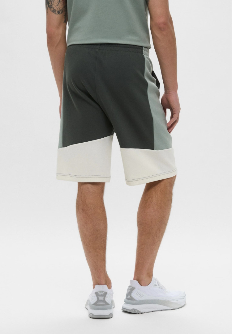 Шорты Regular fit для мужчин (478678), цвет Оливковый - №4