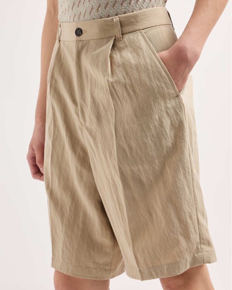 Шорти Regular fit для чоловіків (478921), колір Бежевий - №4