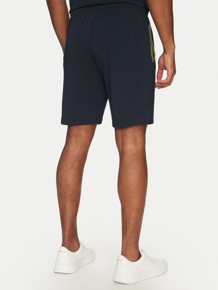 Спортивные шорты Regular fit для мужчин (479456), цвет Синий - №3