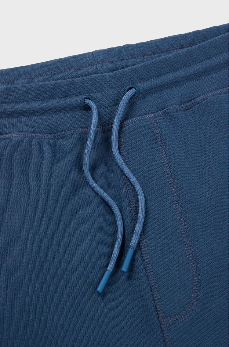 Спортивні брюки Regular fit Висока для чоловіків (479555), колір Синій - №6
