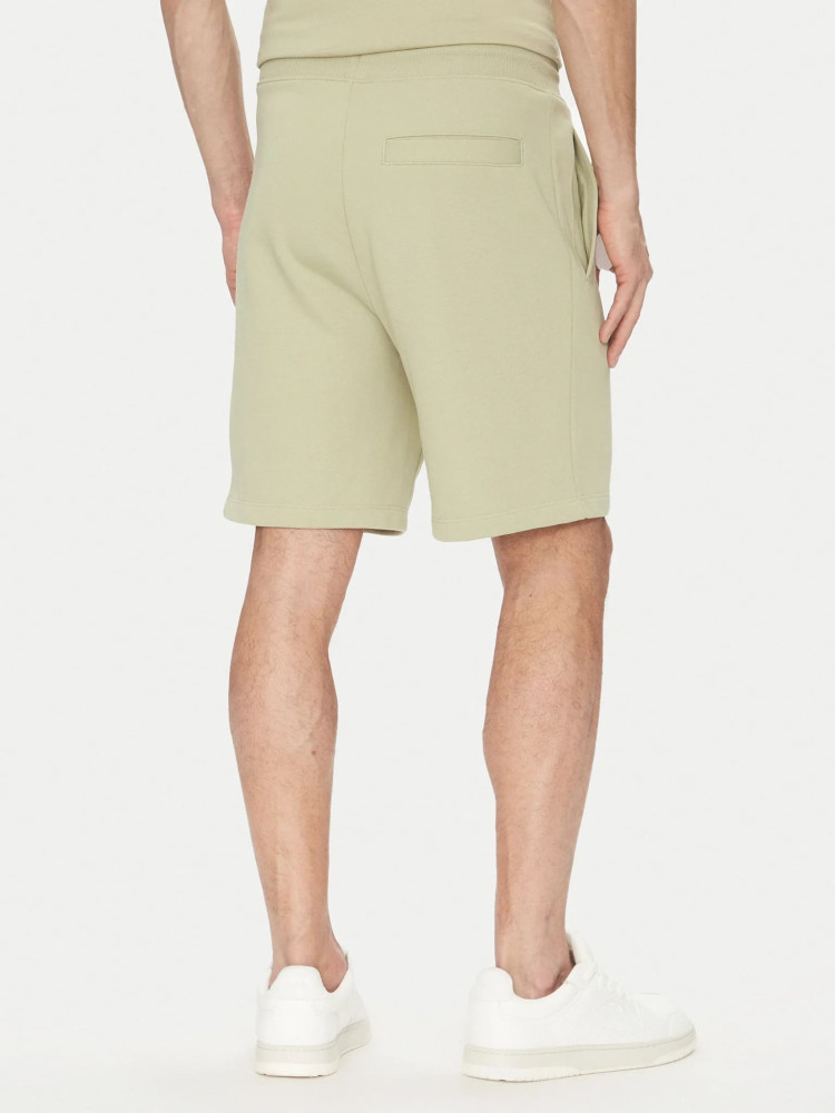Шорти Regular fit для чоловіків (479848), колір Зелений - №3