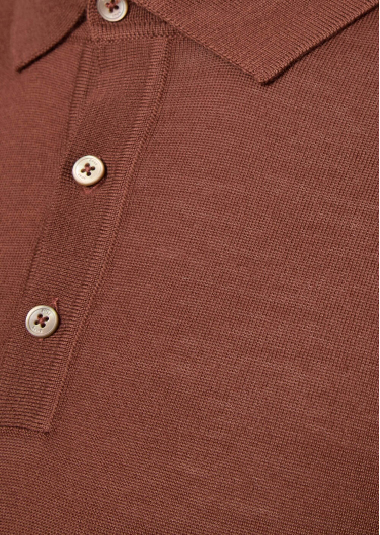 Поло з длинним рукавом Regular Fit для чоловіків (481506), колір Коричневий - №6