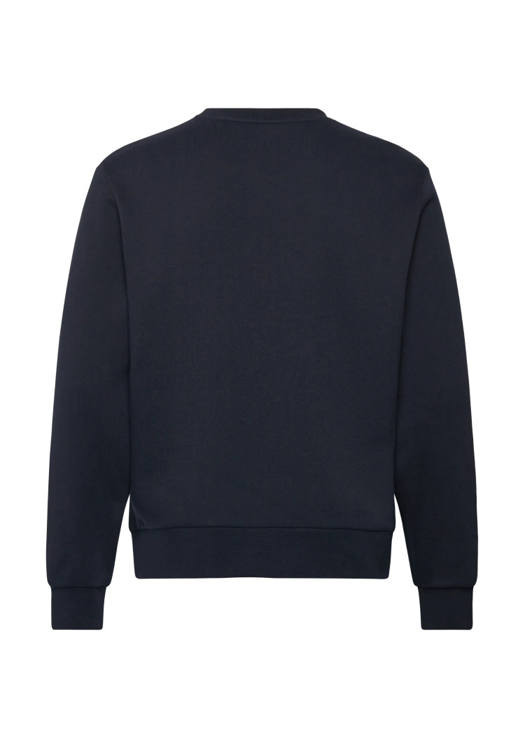 Толстовка Regular Fit для чоловіків (481665), колір Синій - №2