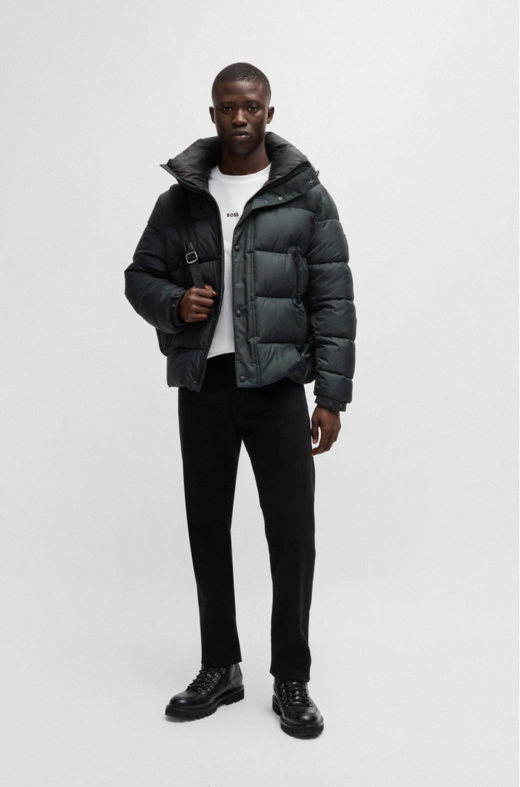 Куртка зимняя Regular Fit для мужчин (481693), цвет Черный - №3