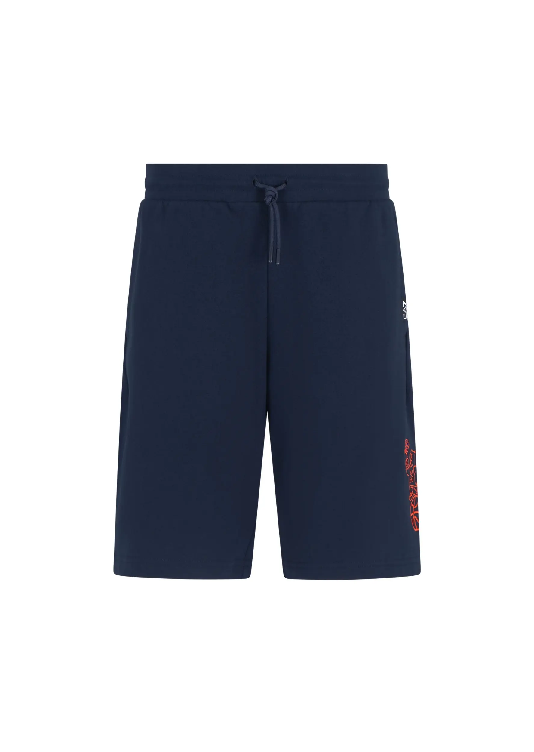 Шорти Regular Fit