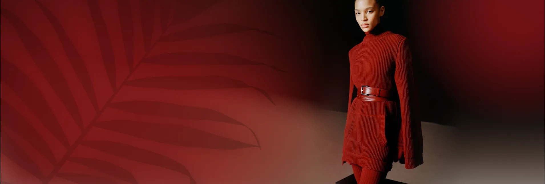 Вишукані сукні